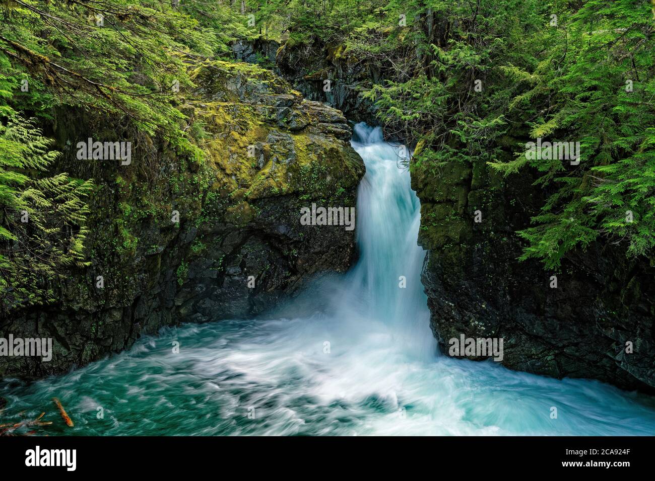 Waldwasserfall in Delaware Water Gap, Appalachians, Grenze New Jersey und Pennsylvania, Vereinigte Staaten von Amerika, Nordamerika Stockfoto
