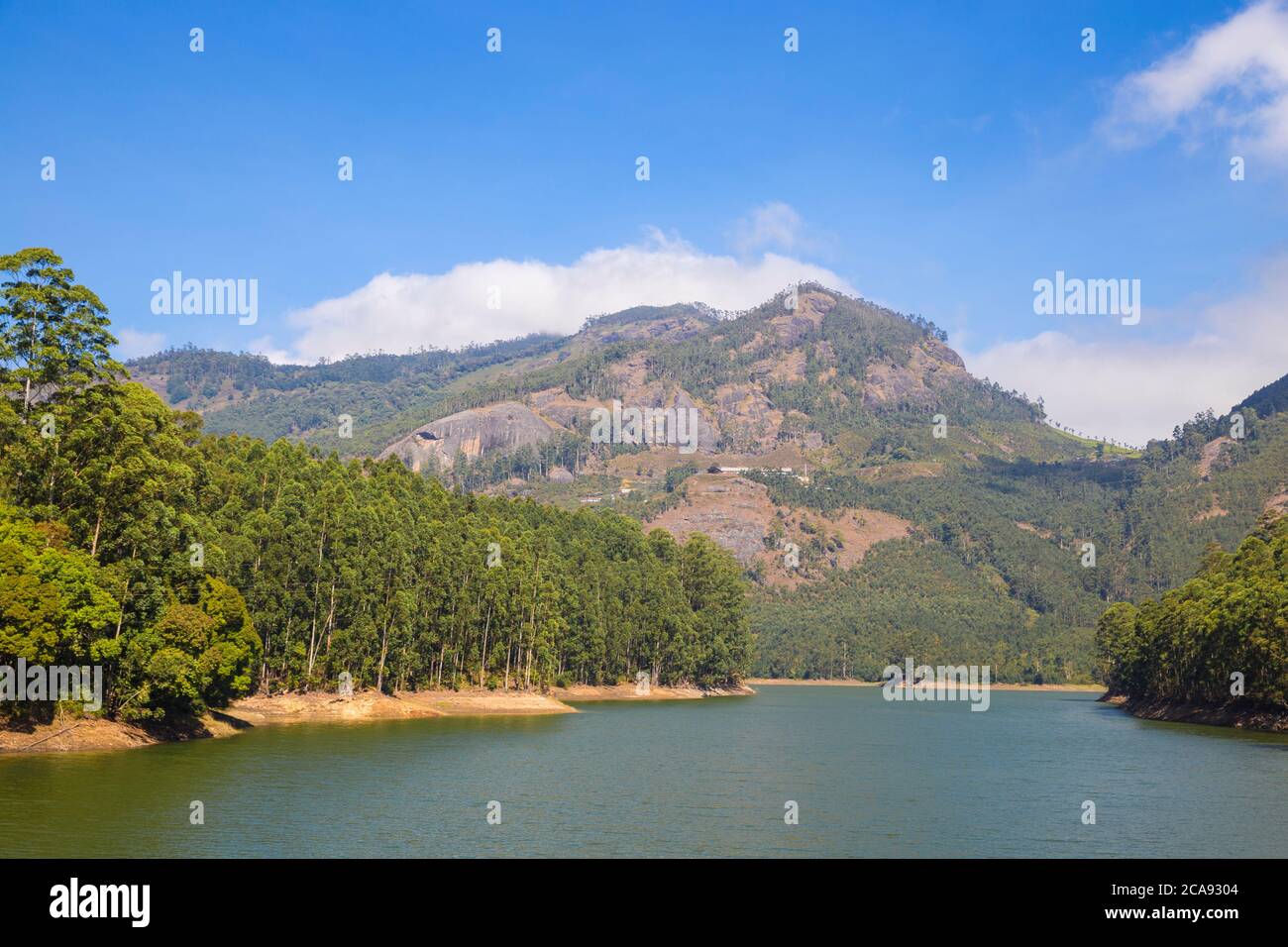 Mattupetty Lake, Munnar, Kerala, Indien, Asien Stockfoto