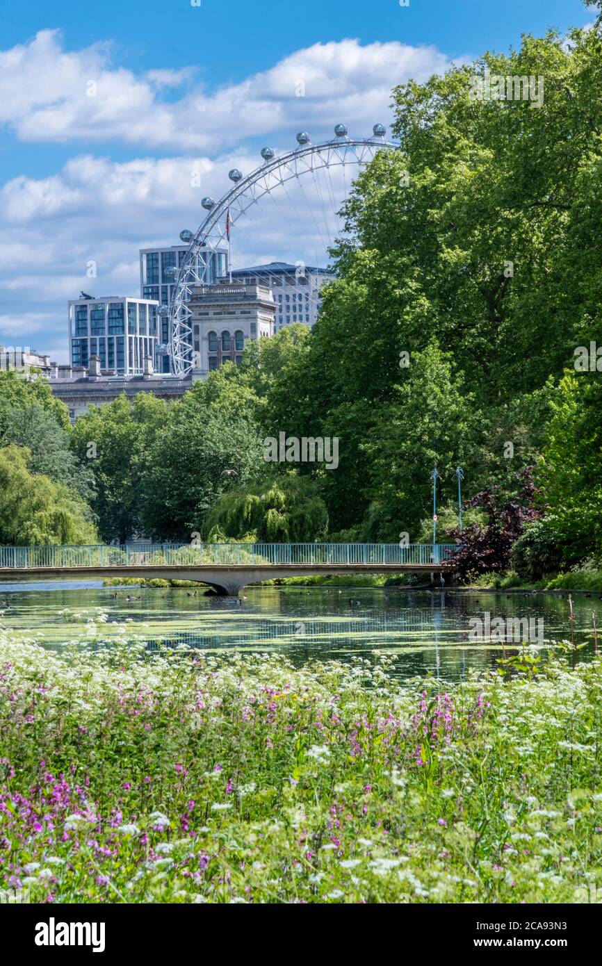 Frühlingsblumen im königlichen Park mit dem London Eye und Gebäuden auf Whitehall, St. James's Park, Westminster, London, England, Vereinigtes Königreich Stockfoto