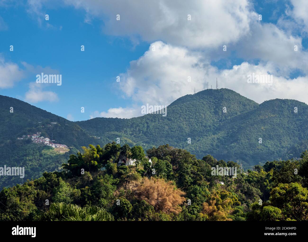 Irish Town, Blue Mountains, Saint Andrew Parish, Jamaika, Westindien, Karibik, Mittelamerika Stockfoto