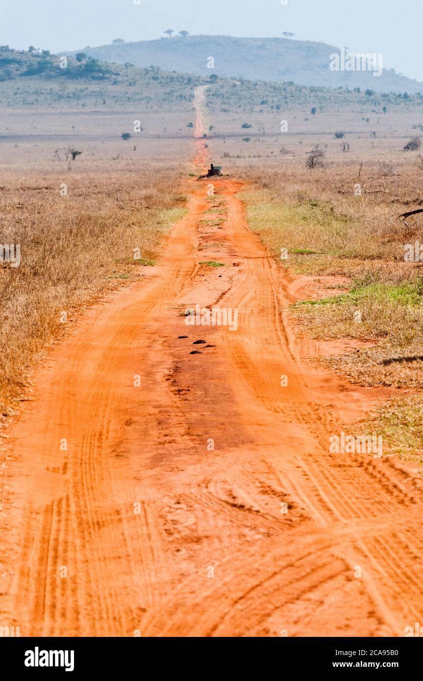 Track in der Savanne, Taita Hills Wildlife Sanctuary, Kenia, Ostafrika, Afrika Stockfoto