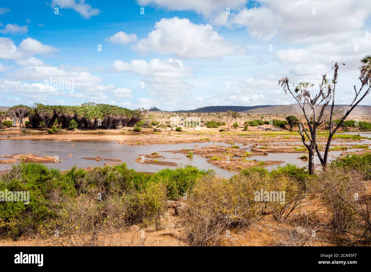 Galana River, Tsavo East National Park, Kenia, Ostafrika, Afrika Stockfoto