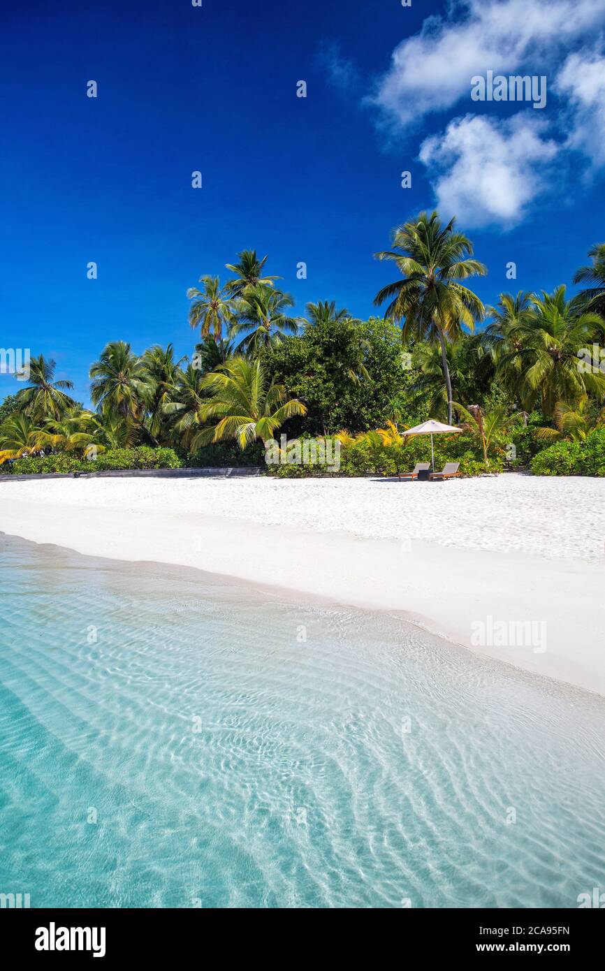 Tropischer Strand und Palmen, Malediven, Indischer Ozean, Asien Stockfoto