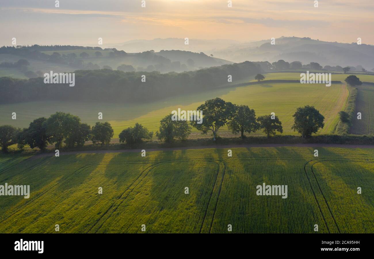 Rollendes Ackerland an einem trüben Sommermorgen, Crediton, Devon, England, Vereinigtes Königreich, Europa Stockfoto