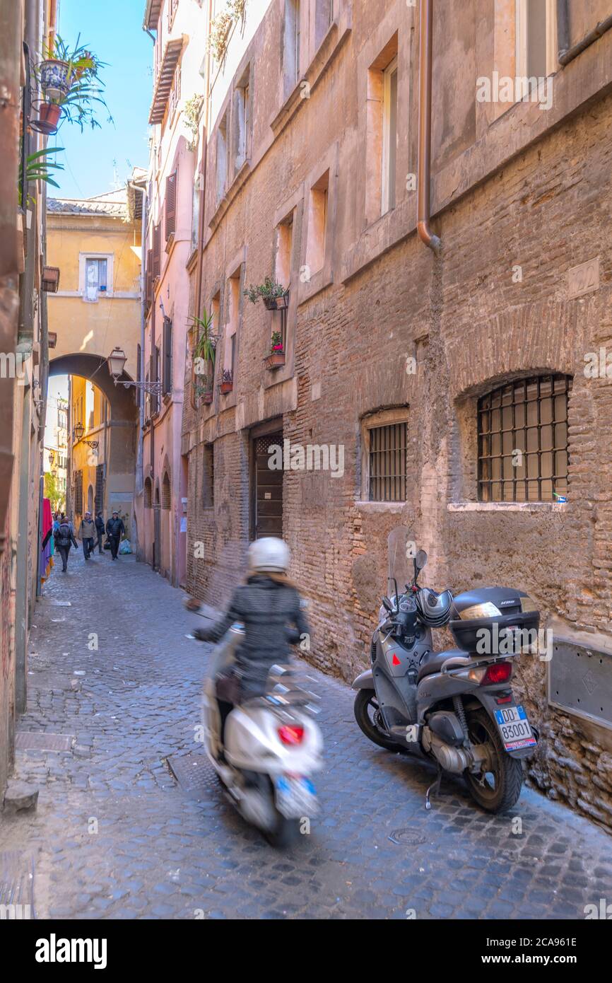 Via Dei Cappellari, Regola, Rom, Latium, Italien, Europa Stockfoto