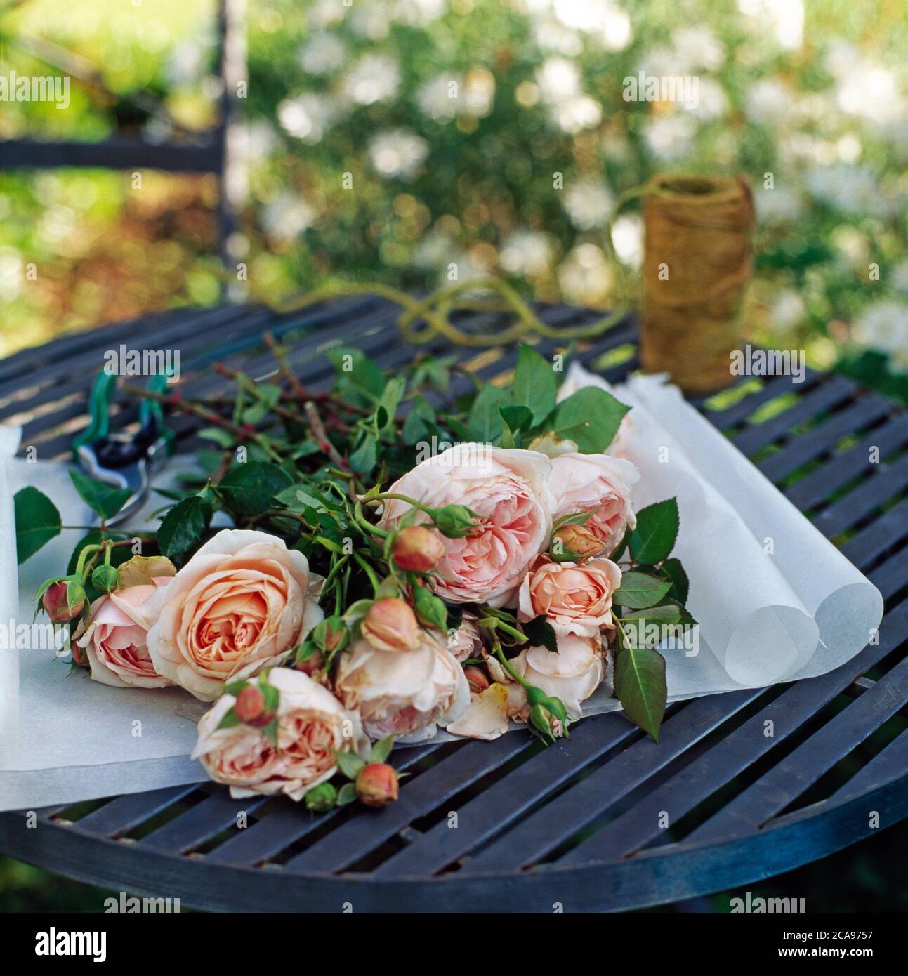 Schneiden Sie Strauß Rosen auf einen Gartentisch gewickelt werden Stockfoto