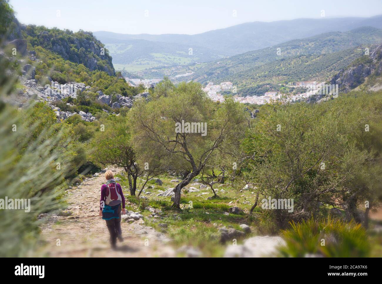 Spaziergang auf der alten römischen Straße nach Ubrique von Benaocaz im Naturpark Sierra De Grazalema Stockfoto