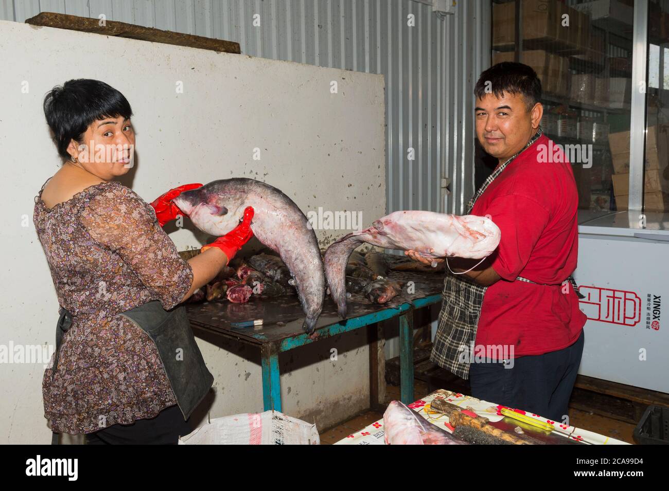 Fisch-stall, kasachische Mann und Frau, die großen Fische, Samal Bazar, Schymkent, Region Süd, Kasachstan, Zentralasien, nur zu redaktionellen Zwecken Stockfoto