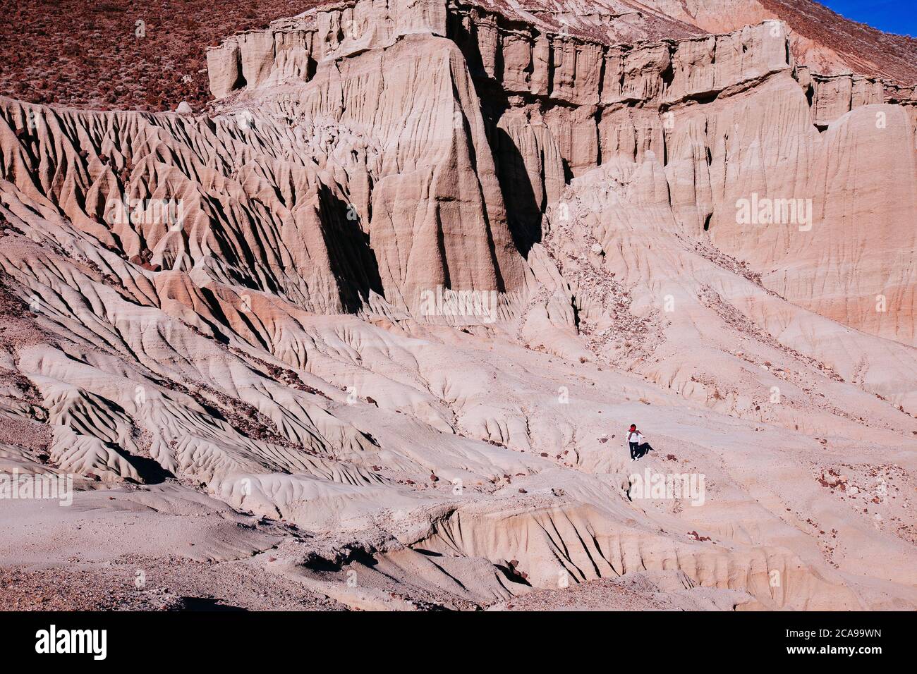 Hagen Canyon Naturlehrpfad im Red Rock Canyon State Park Stockfoto