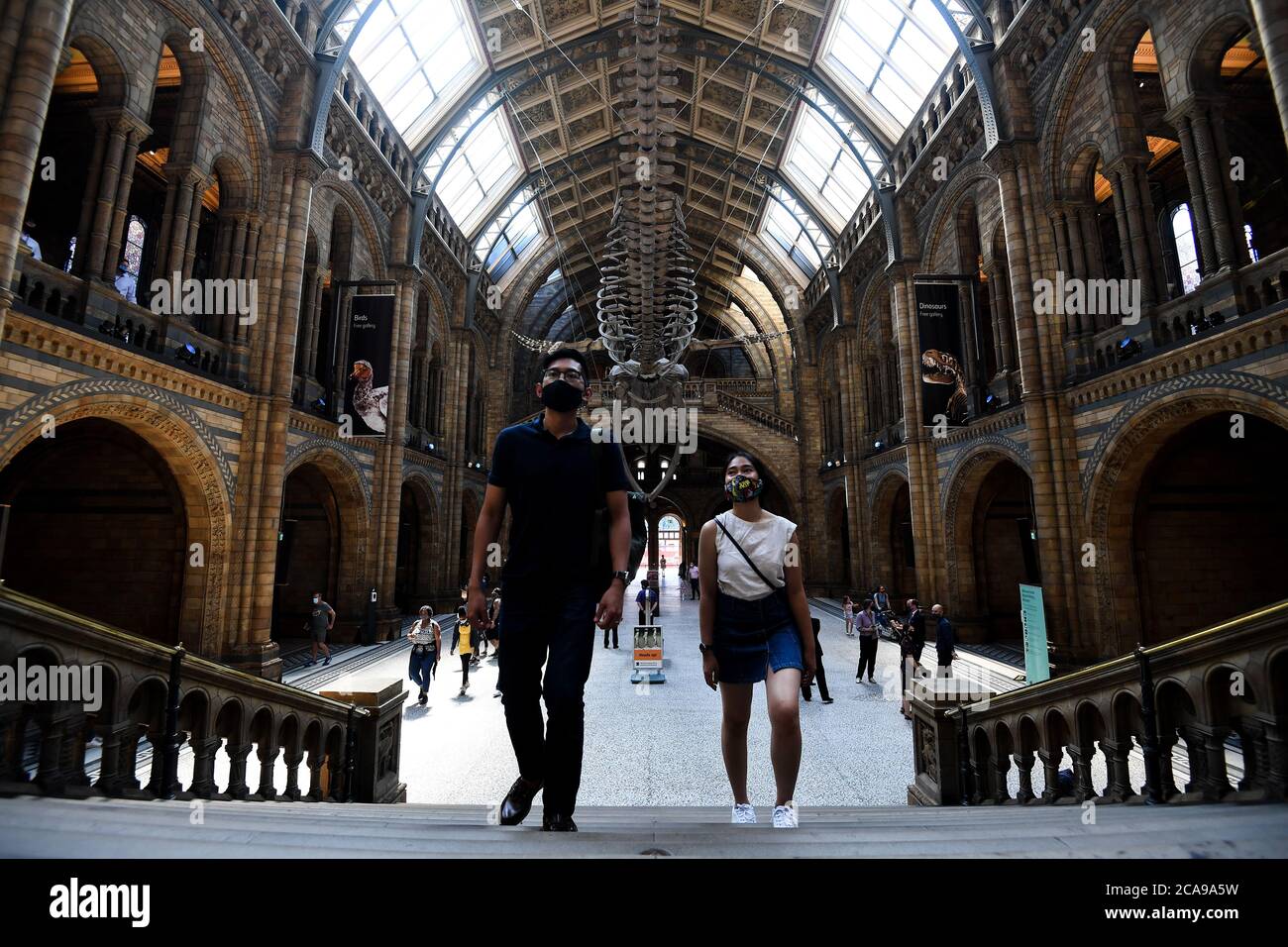 Besucher im Natural History Museum in South Kensington, London, das zum ersten Mal seit der Sperrung des Coronavirus wieder für die Öffentlichkeit zugänglich ist. Stockfoto