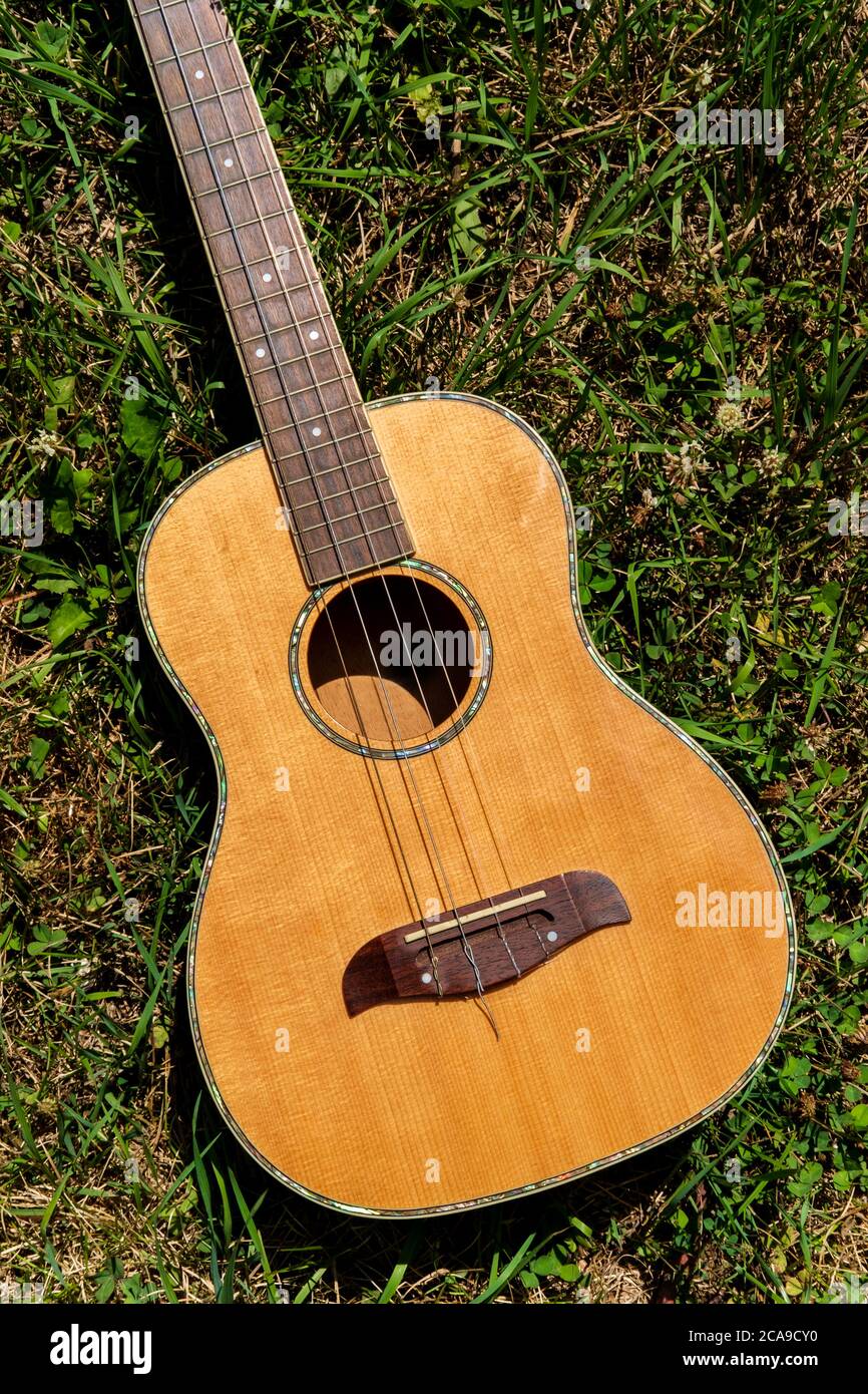 Akustikbariton Ukulele Gitarre, die in einem Grasfeld liegt Stockfoto
