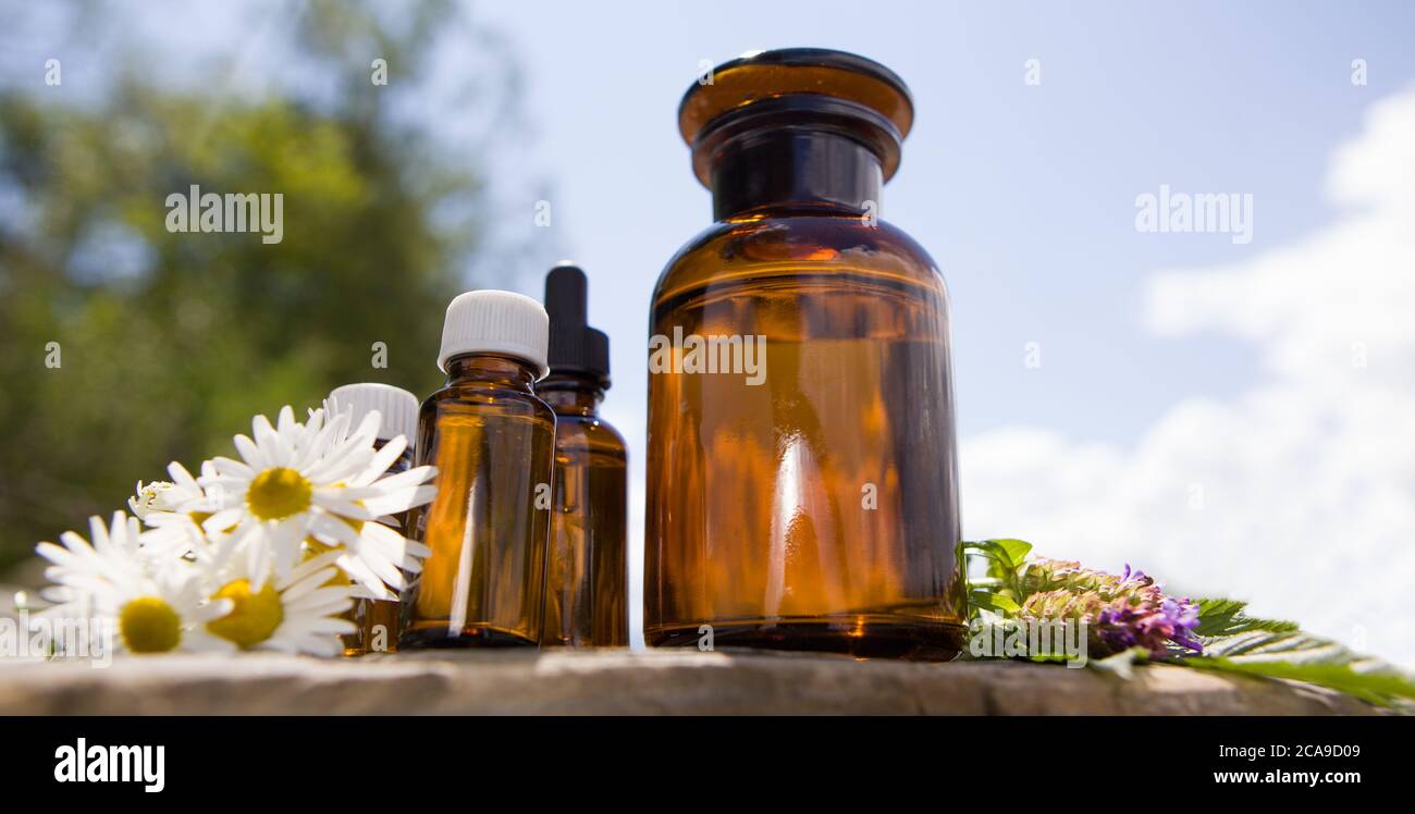 Frische Kräuter und verschiedene Öle für Massage und Aromatherapie. Stockfoto