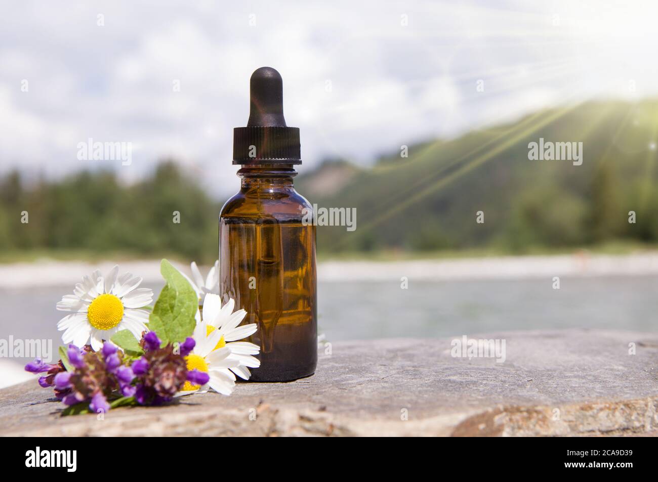 Zusammensetzung mit Kamillenblüten und kosmetische Flasche ätherisches Öl. Stockfoto