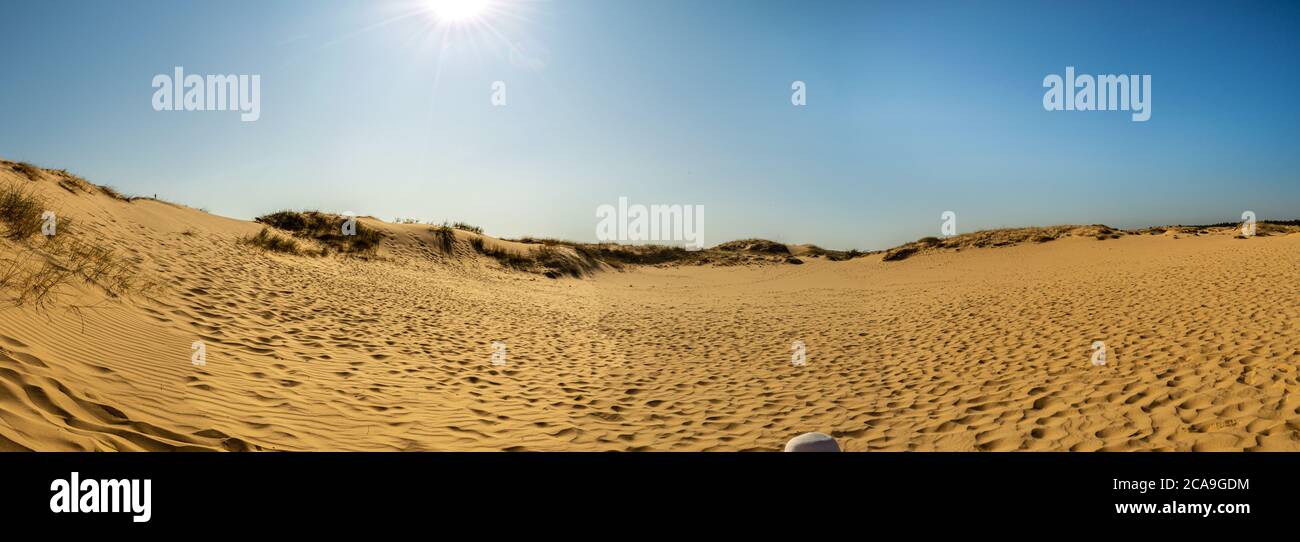 Panoramablick auf Oleschky Sands am blauen Himmel in der Cherson Region in der Ukraine, der größten Wüste Europas. Horizontale Aufnahme. Stockfoto