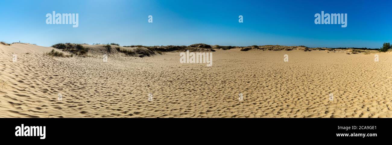 Panoramablick auf Oleschky Sands am blauen Himmel in der Cherson Region in der Ukraine, der größten Wüste Europas. Horizontale Aufnahme. Stockfoto