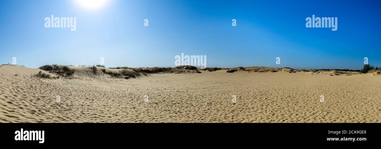 Panoramablick auf Oleschky Sands am blauen Himmel in der Cherson Region in der Ukraine, der größten Wüste Europas. Horizontale Aufnahme. Stockfoto
