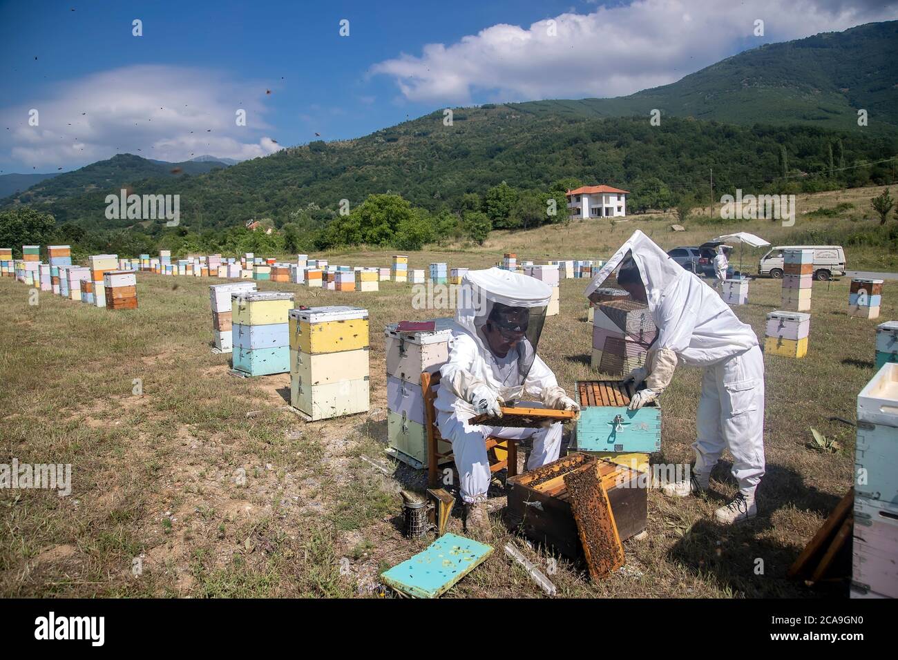 Florina, Griechenland - 10. Juli 2020: Imker, die in einem Gebiet von Florina in Nordgriechenland Honig sammeln. Biologische Bienenzucht Stockfoto