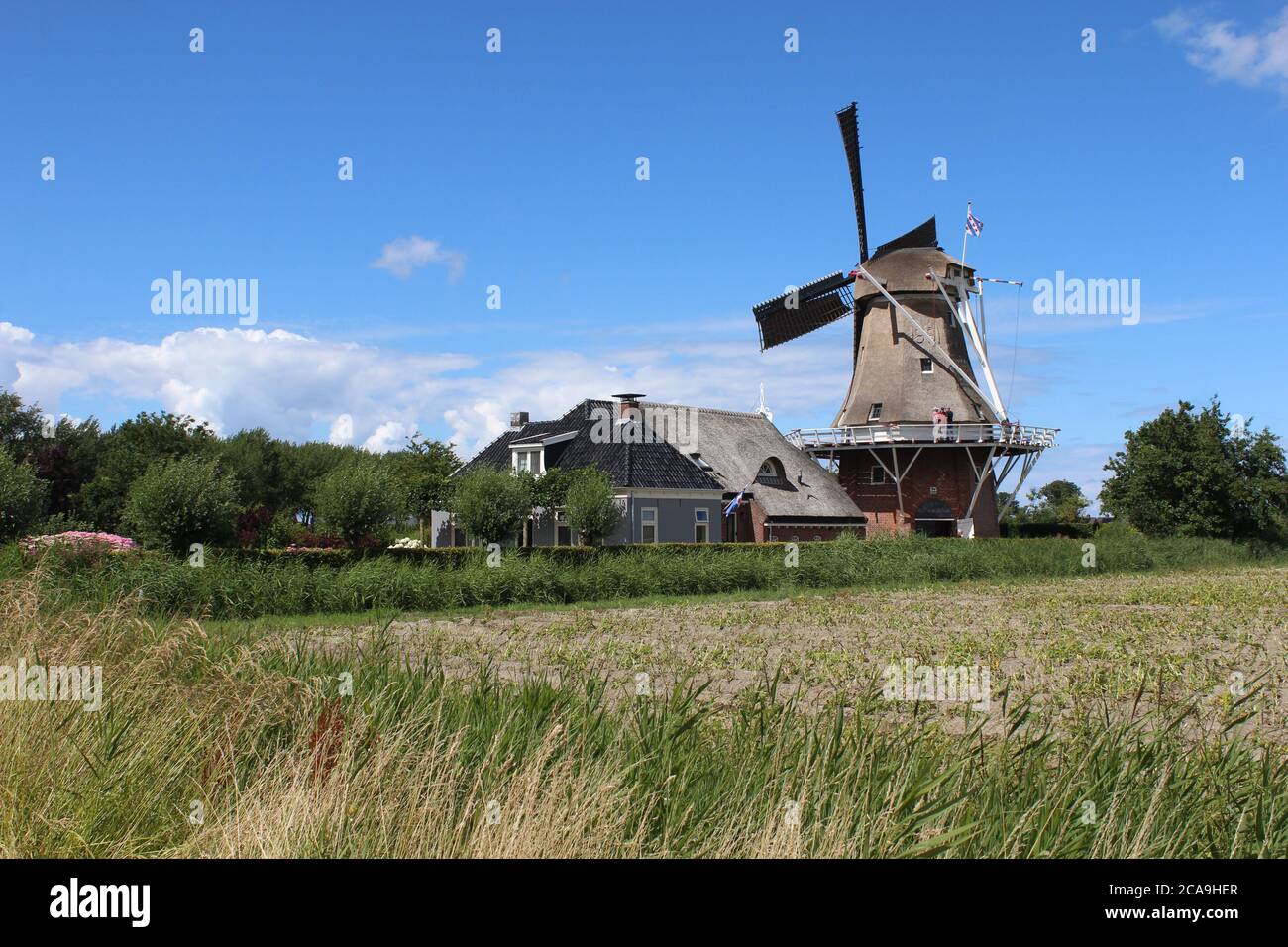 PAESENS, NIEDERLANDE, 21. JULI 2020: Blick auf Windmill, (Molen de Hond), ein bekanntes Wahrzeichen in der Nähe von Paesens in Friesland. Es handelt sich um einen restaurierten Windm Stockfoto