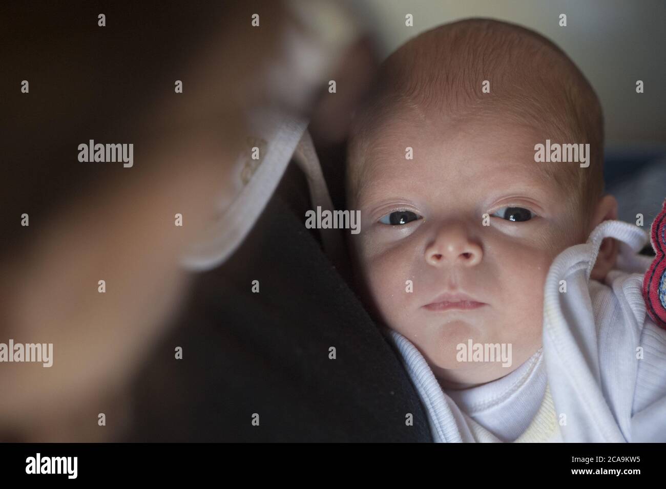 Sechs Monate altes Frühgeborenes schaut mit weit geöffneten Augen auf die Kamera Stockfoto