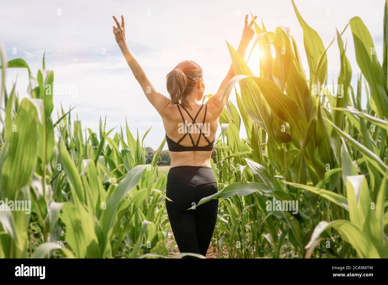 Frau trägt Sportkleidung mit erhobenen Armen. Rückansicht mit Sonneneinstrahlung. Stockfoto