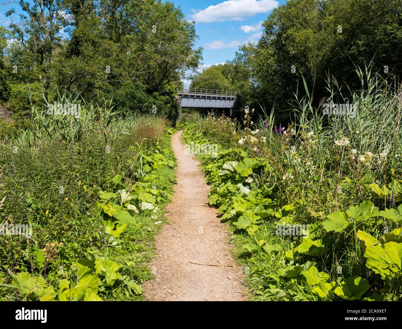 Picklestirm Railway Bridge No 65, Kennet and Avon Canal, Newbury, Berkshire, England, UK, GB. Stockfoto