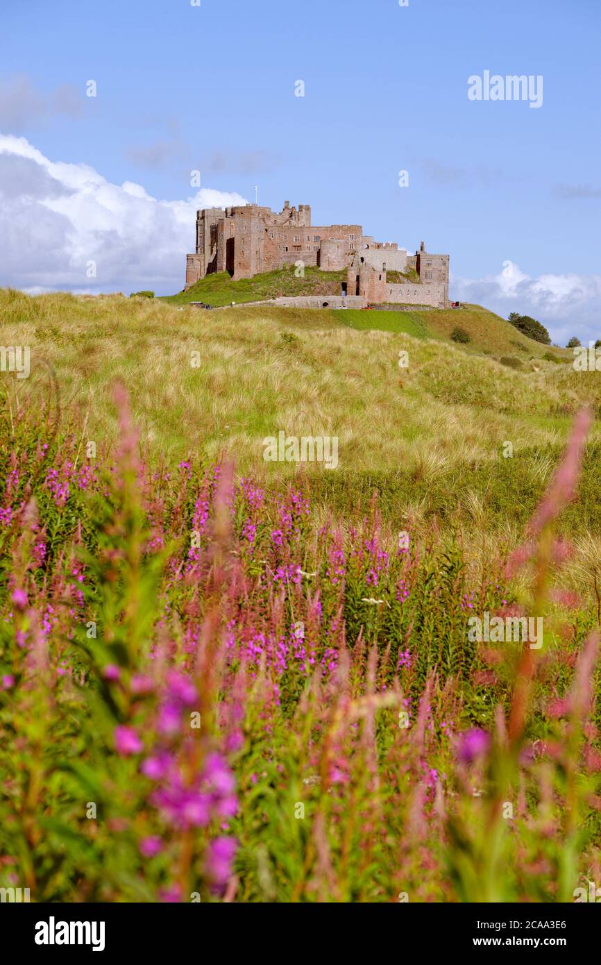 Bamburgh Castle, Bamburgh, Northumberland, England. Stockfoto