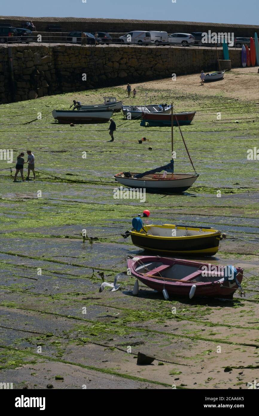 Mousehole Hafen bei Ebbe Reihe von kleinen Booten, die diagonal von unten nach oben auf Sand liegen. Meeresgrund mit grünen Algen bedeckt. Menschen, die herumlaufen Stockfoto