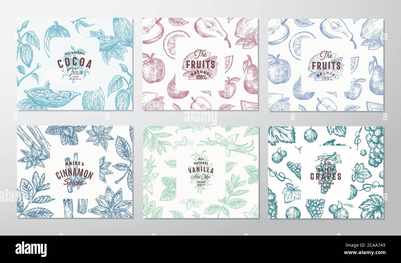 Handgezeichnete Trauben, Früchte, Kakaobohnen, Minze, Nüsse und Gewürzkarten Set. Abstrakte Vektor Skizze Muster Hintergründe Sammlung mit Retro Typografie Stock Vektor