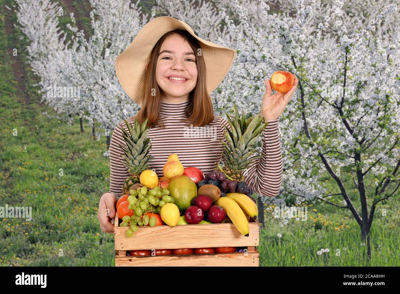 Mädchen hält eine hölzerne Kiste mit Früchten im Obstgarten Frühling Saison Stockfoto