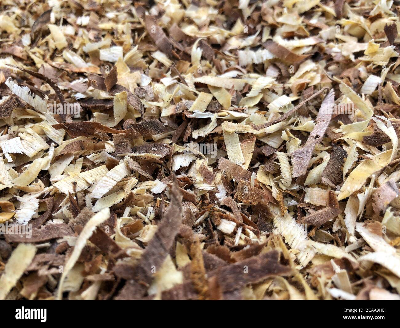 Holzspäne Hintergrund, Holzstruktur Nahaufnahme Stockfoto