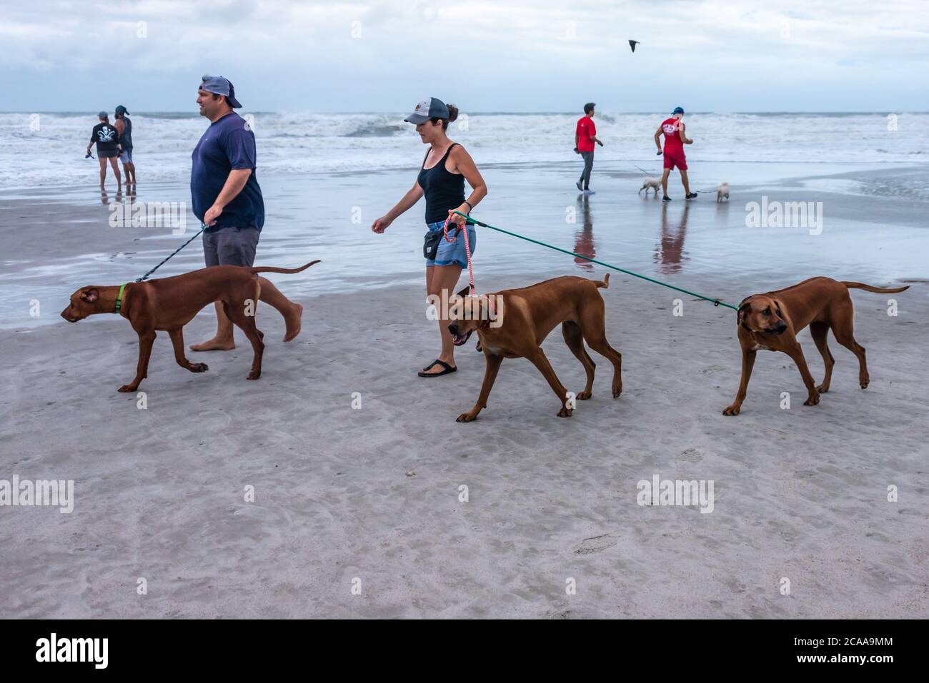 Menschen gehen Hunde auf Jacksonville Beach als Tropical Storm Isaias an der North Florida Küste vorbeikommt. Stockfoto
