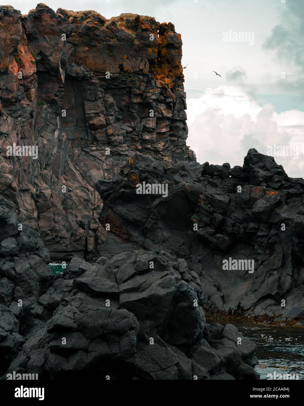 Vögel fliegen von einer Klippe an der Südküste Islands, snæfellsnes Stockfoto