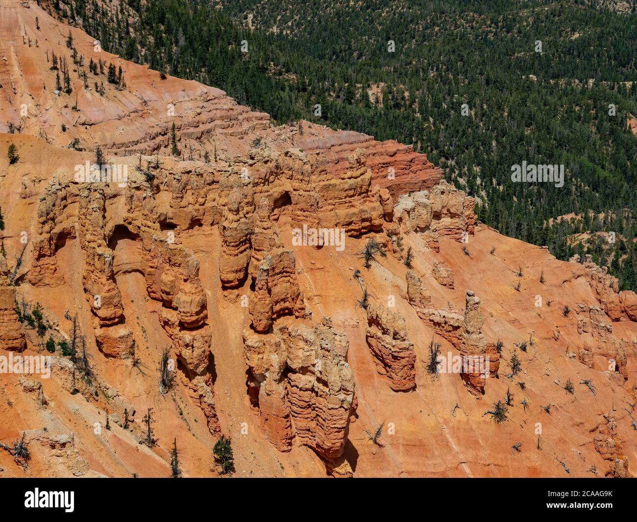 Wunderschöne Landschaft vom Spectra Point of Cedar Breaks National Monument in Utah, USA Stockfoto