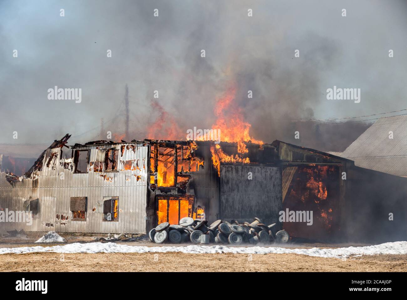 Spektakuläres Feuer auf der Eierfarm. Stockfoto