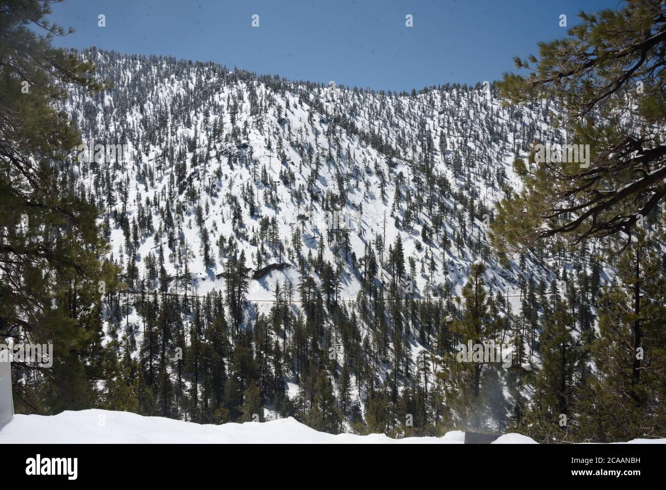 Dramatische Panorama-Landschaft von Berg immergrünen Wald im Schnee.mit geschwollenen weißen Wolken gegen einen blauen Himmel Blick auf riesige Berggipfel im Schnee. Stockfoto