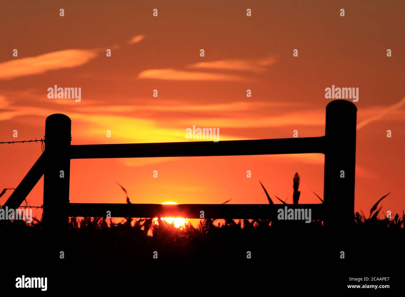 Kansas Bunte Sonnenuntergang mit einem bunten Himmel und einem Zaun Silhouette auf dem Land. Stockfoto