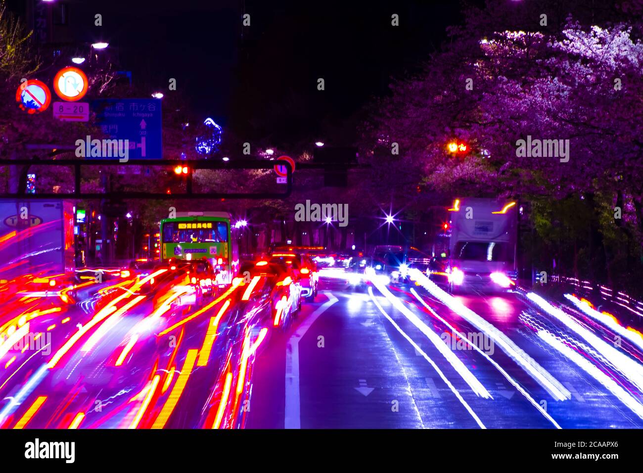 Eine nächtliche Kirschstraße in der Yasukuni Avenue in Tokio Stockfoto