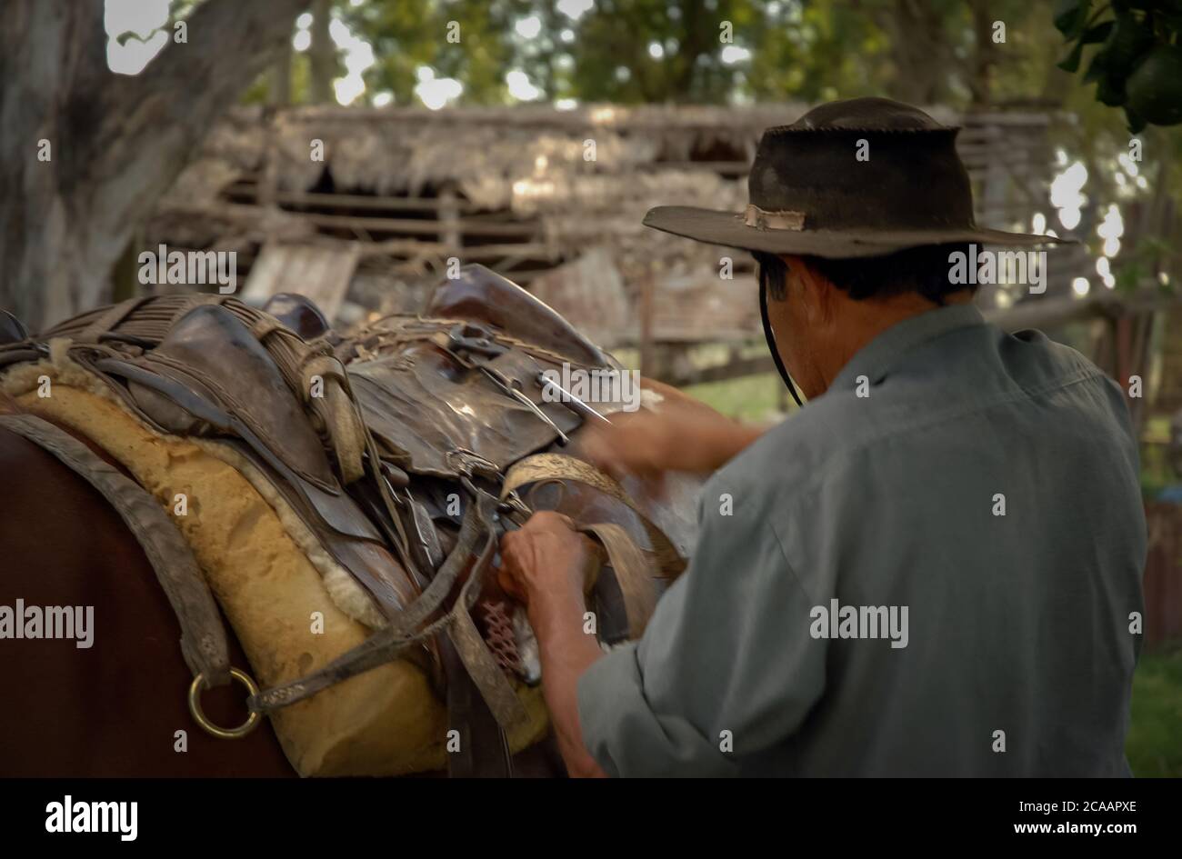 Rückansicht eines argentinischen Gauchos in der Entwicklung von Seine üblichen Aktivitäten Stockfoto