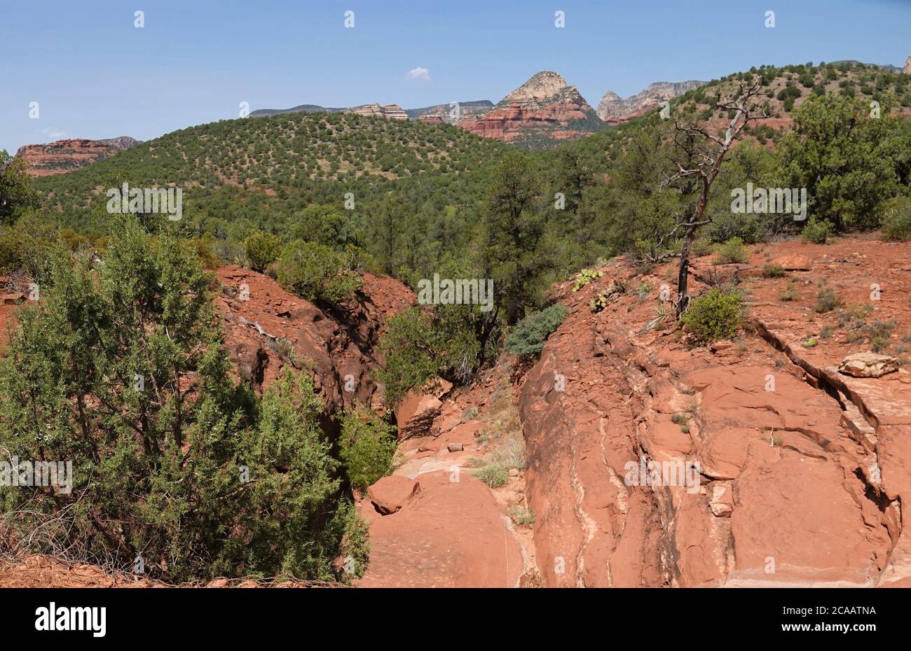 Die wunderschönen roten Felsen in Sedona, Arizona, ziehen Touristen aus der ganzen Welt an. Die schönen Farben ändern sich im Sonnenlicht den ganzen Tag. Stockfoto