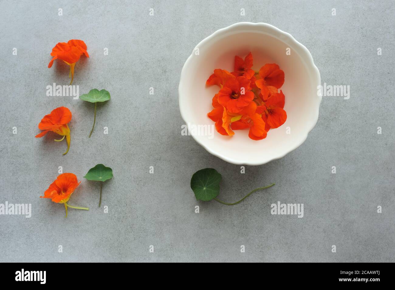 Kapuzinerkresse Blumen und Blätter auf dem Hintergrund und in der Schüssel zum Kochen vorbereiten. Zutat für Salate, Säure, j am, Dekoration Gerichte. Stockfoto