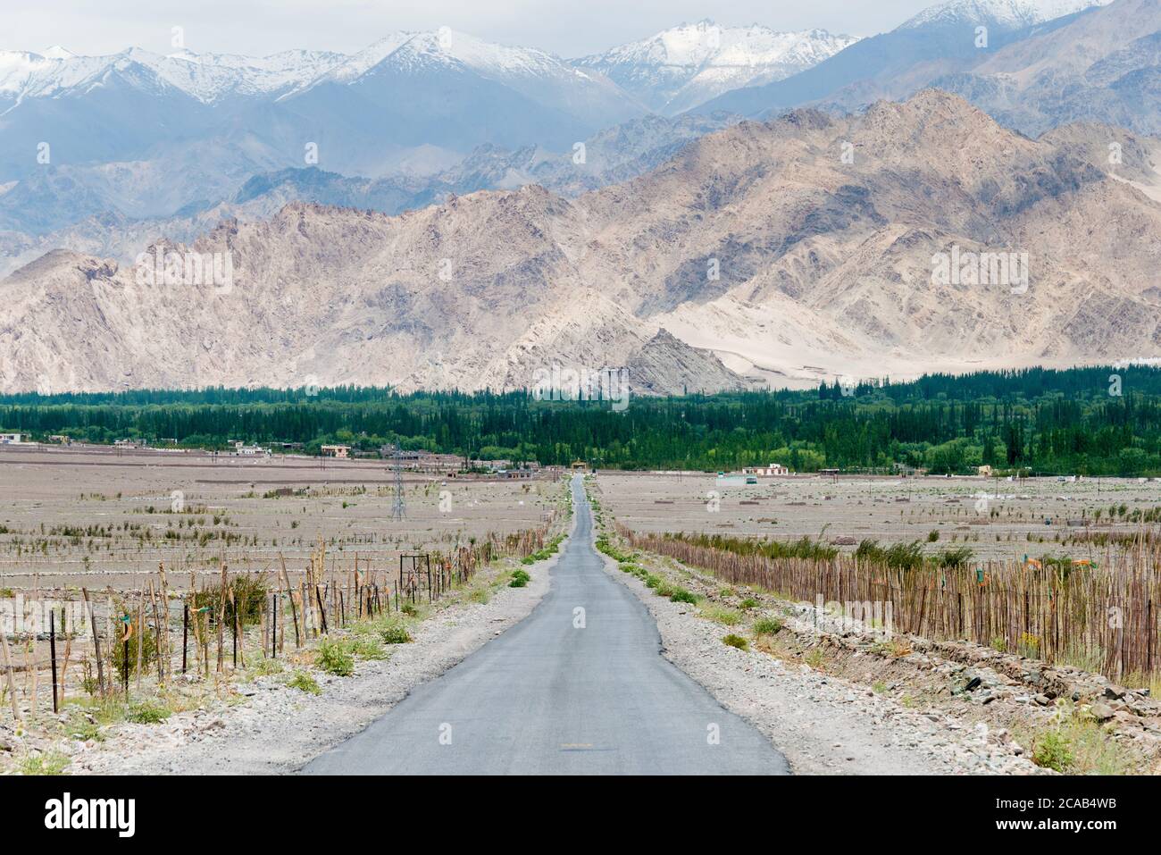 Ladakh, Indien - schöne Aussicht von zwischen Matho Village und Shey Village in Ladakh, Jammu und Kaschmir, Indien. Stockfoto