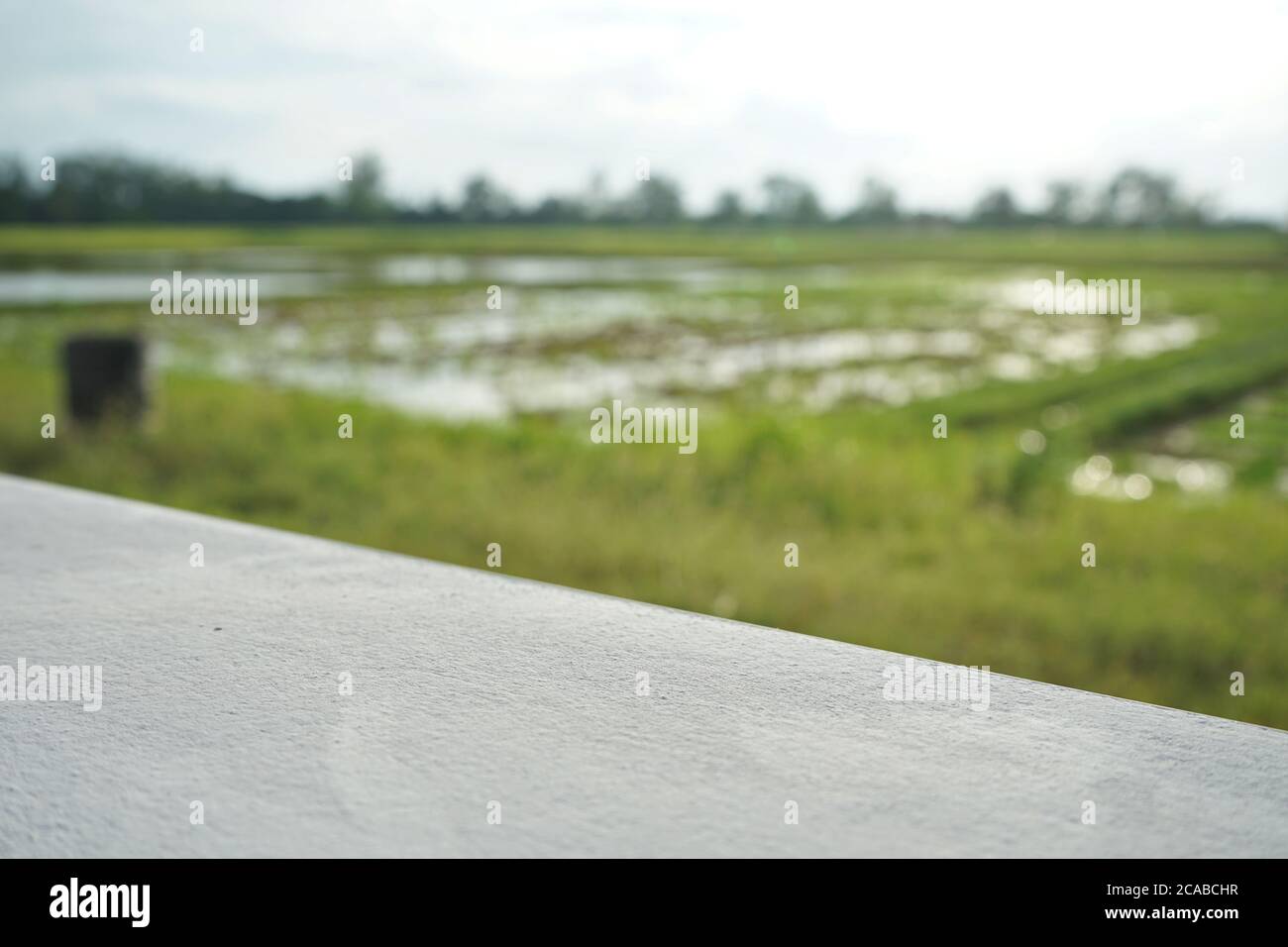 Zementboden und natürlicher Hintergrund Stockfoto