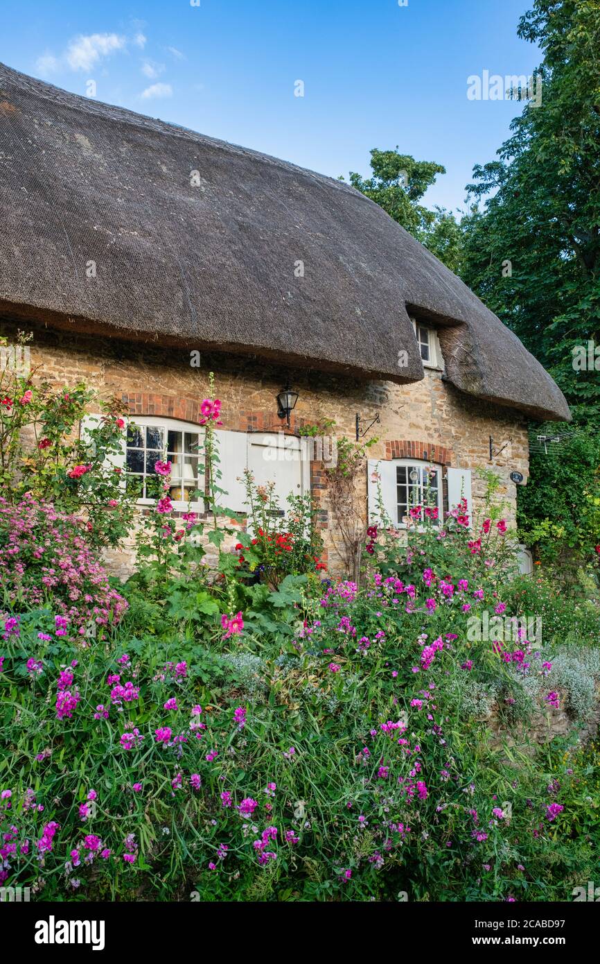 Reetdachhaus in dem Dorf Great Milton, Oxfordshire, England Stockfoto