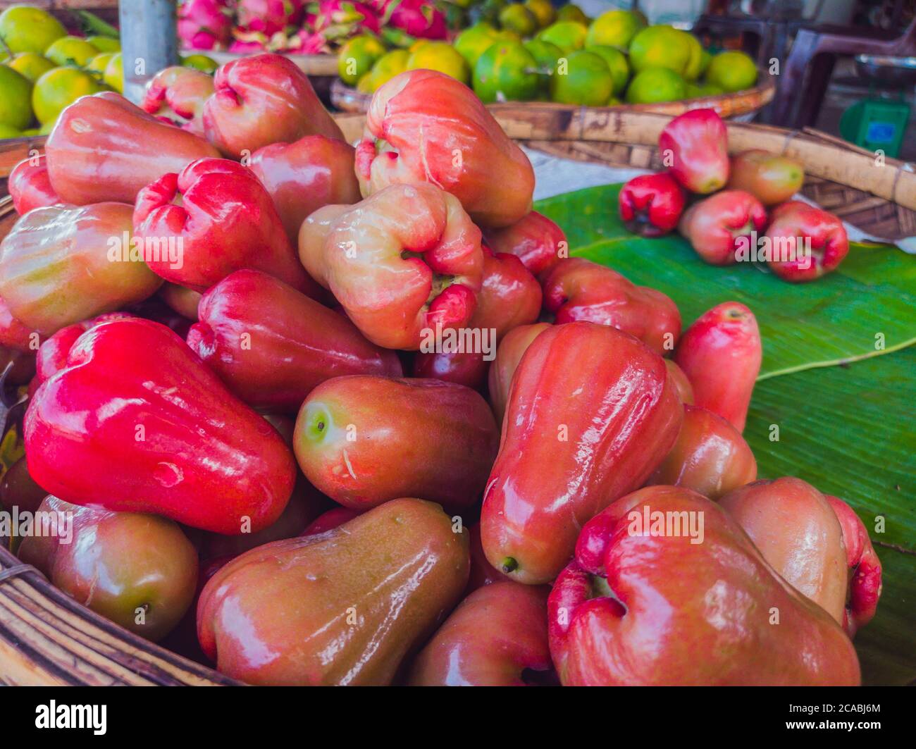 Frisch gezupfte Rosenapfelfrucht oder Jambu Airon Ausstellung zum Verkauf Stockfoto
