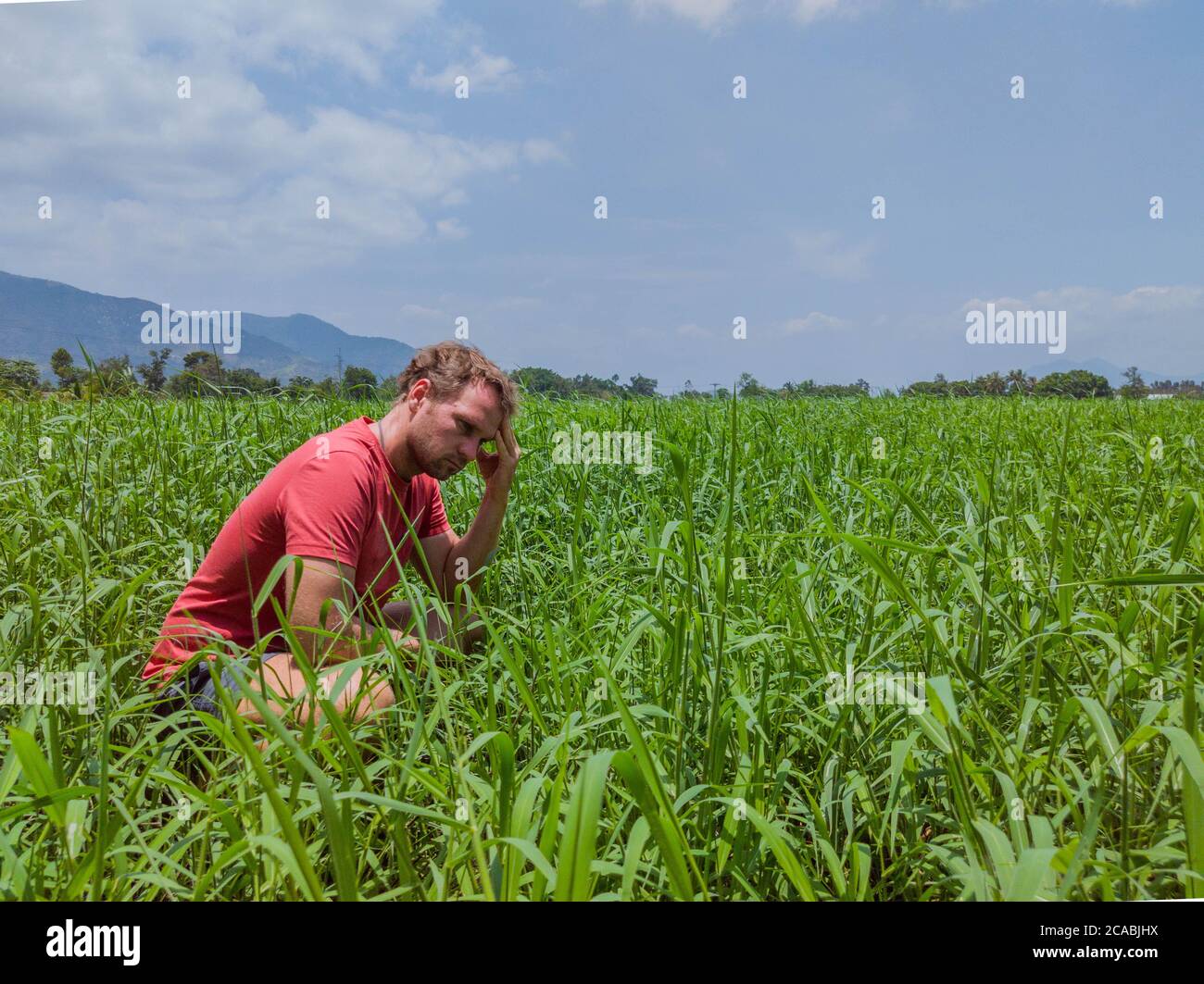 Der Mann sitzt auf einem dicken Feld mit grünem Gras und denkt nach Stockfoto