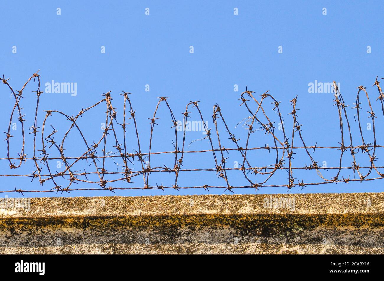Nahaufnahme einer Spule aus Stacheldraht vor einem blauen Himmel. Teil einer Verteidigungsschutzbarriere. Stockfoto