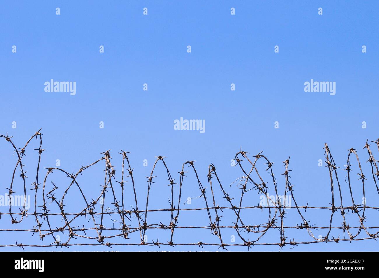 Nahaufnahme einer Spule aus Stacheldraht vor einem blauen Himmel. Teil einer Verteidigungsschutzbarriere. Stockfoto