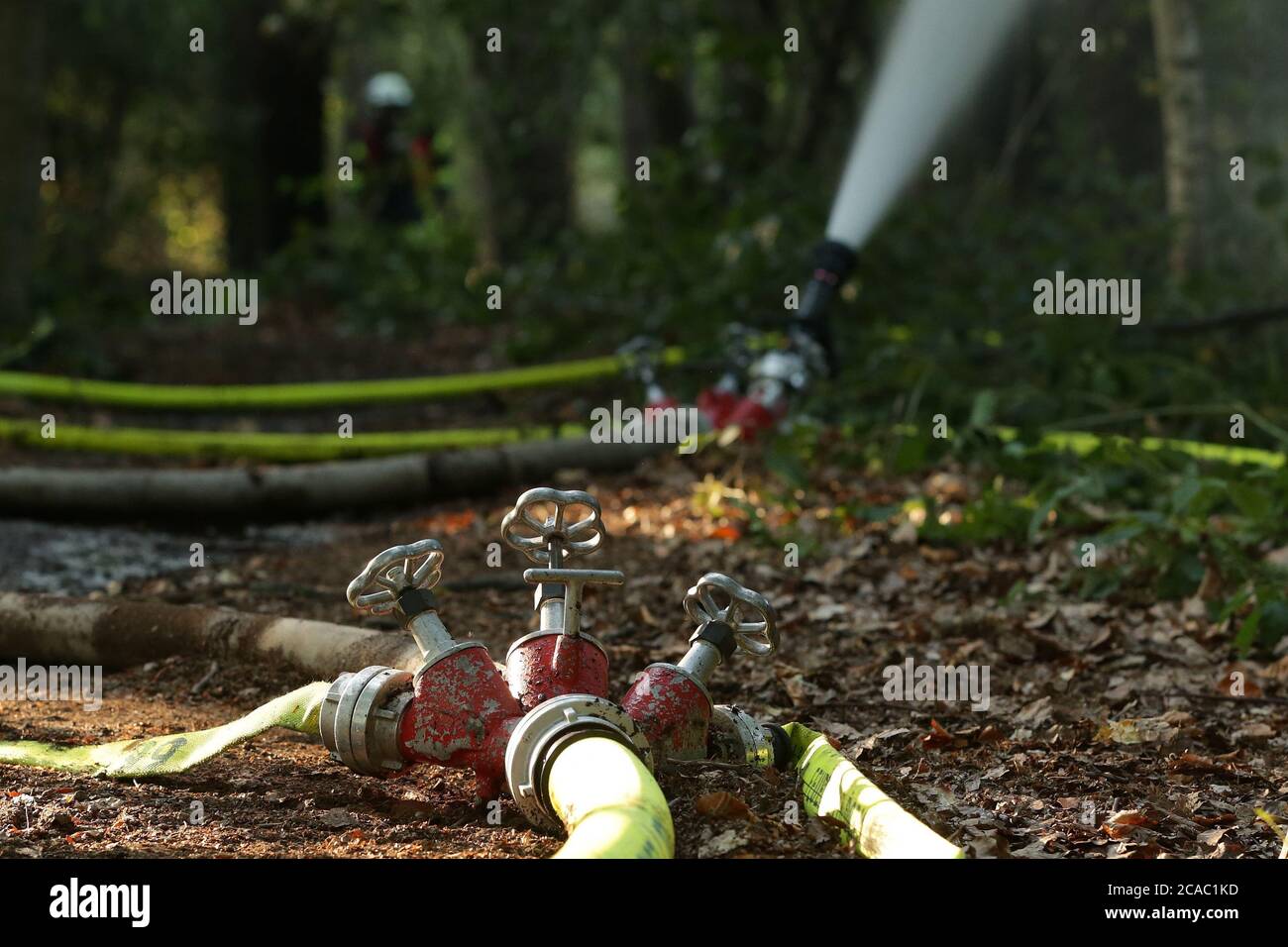 Dormagen, Deutschland. August 2020. Ein Wasserverteiler der Feuerwehr wird bei einem Waldbodenbrand im Naturschutzgebiet 'Zonser Heide' eingesetzt. Ein großes Waldgebiet und Wiesen brannte am Morgen, laut Polizei wurde niemand verletzt. Kredit: David Young/dpa/Alamy Live Nachrichten Stockfoto