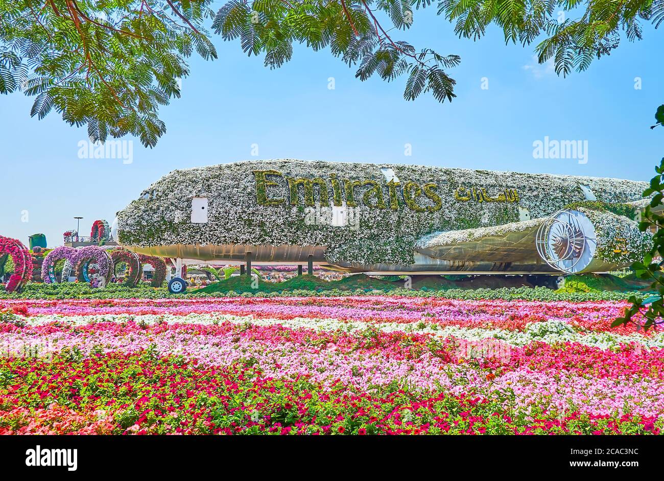 DUBAI, VAE - 5. MÄRZ 2020: Genießen Sie die einzigartige  Flugzeuginstallation, bedeckt mit Blumen und lebenden Pflanzen, die sich  zwischen Petunia-Blumenbeeten in Mirac befindet Stockfotografie - Alamy