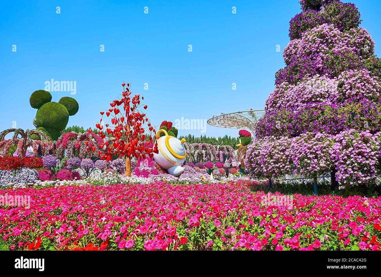 DUBAI, VAE - 5. MÄRZ 2020: Alle Farben der Petunien finden Sie auf Blumenbeeten des Miracle Garden, am 5. März in Dubai Stockfoto